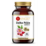 Dzika Róża - ekstrakt - 90 kaps Yango