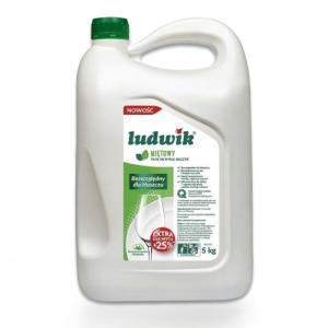 Płyn do naczyń Ludwik 5l miętowy